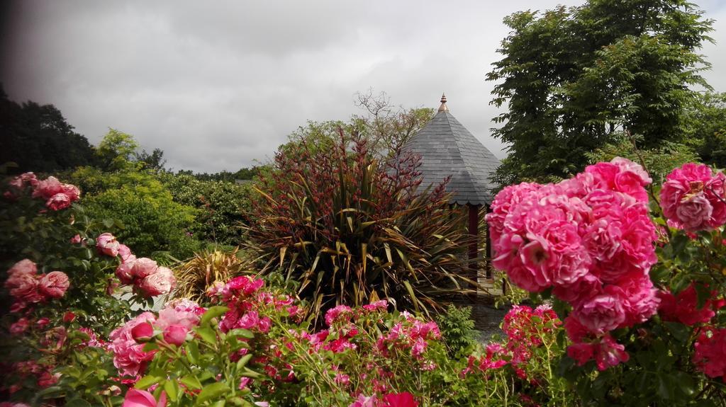 Atypique Dans Chapelle * Briec